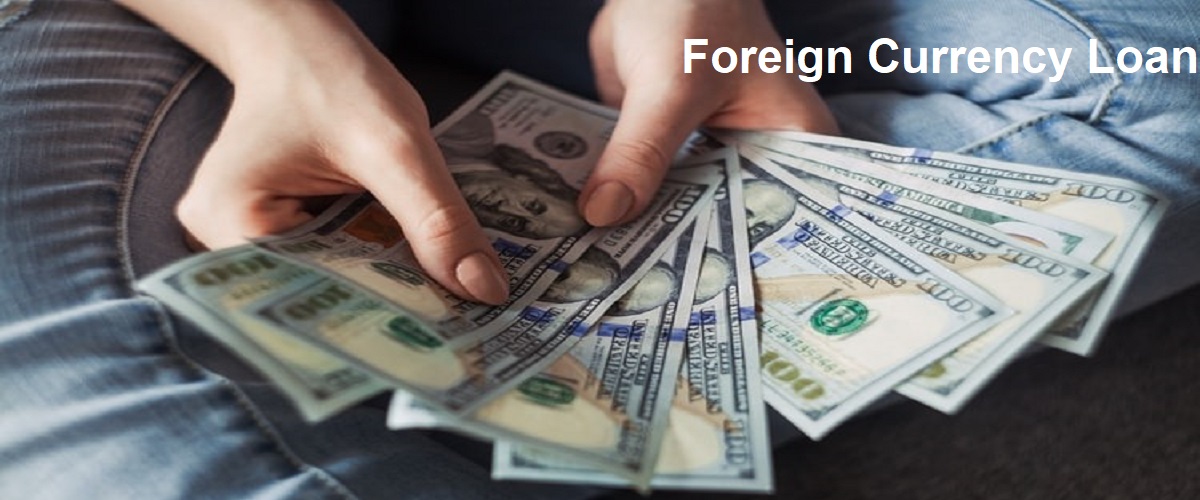 Foreign Currency Loan1